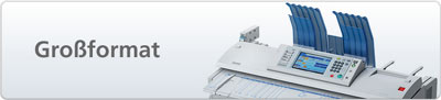 Großformatdrucker von Ricoh